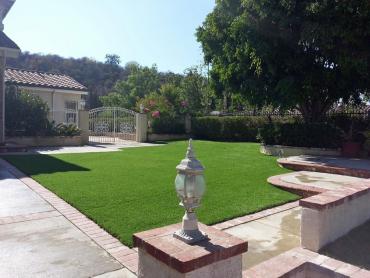 Artificial Grass Photos: Synthetic Pet Grass Aliso Viejo California Landscape, Lawns